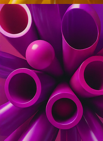 알파 존 모험 체험