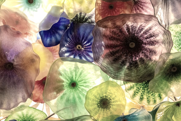 베타 존 탐험 공간