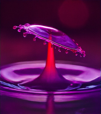 창의적인 탐험 세계